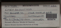 Image Associated With the Occurence